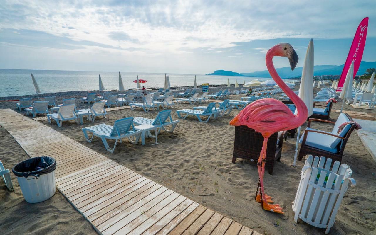 Campus Hill Hotel Alanya Extérieur photo
